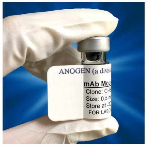 mAb anti-Human PD-1 / CD279, 7G12, Tracer (Biotin labeled)