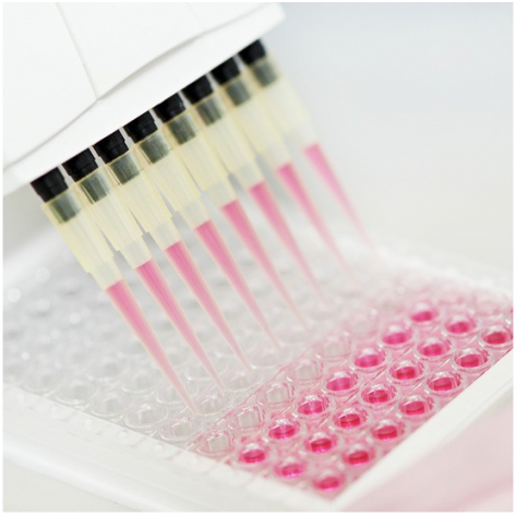 Human MCAF (MCP-1) Matched Antibody Pair for ELISpot