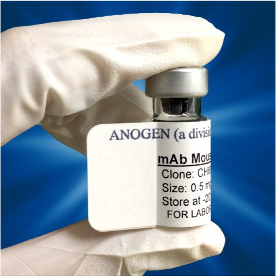 Human Immunoglobulin G (IgG), 10 mg