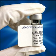 mAb anti-hGH, YC8, Tracer (Biotin Labeled), 0.1 mL