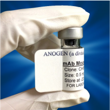 mAb anti-Human SAA, 607, Tracer (Biotin Labeled), 0.1mL