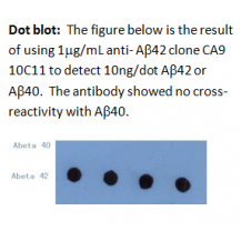 mAb anti-Amyloid β Peptide 42, CA9 10C11, Detector